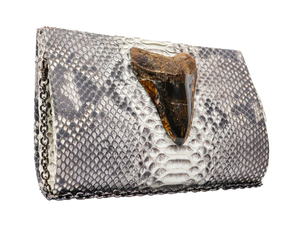 Empire Python & Megalodon Tooth Fossil Folio