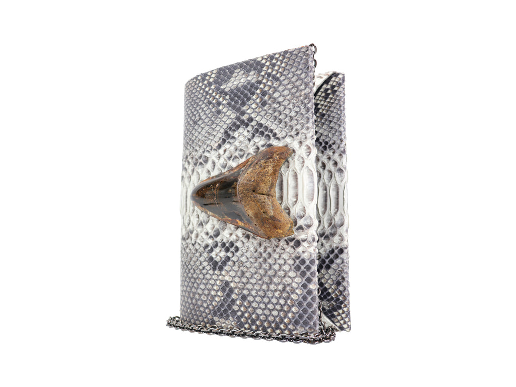 Empire Python & Megalodon Tooth Fossil Folio