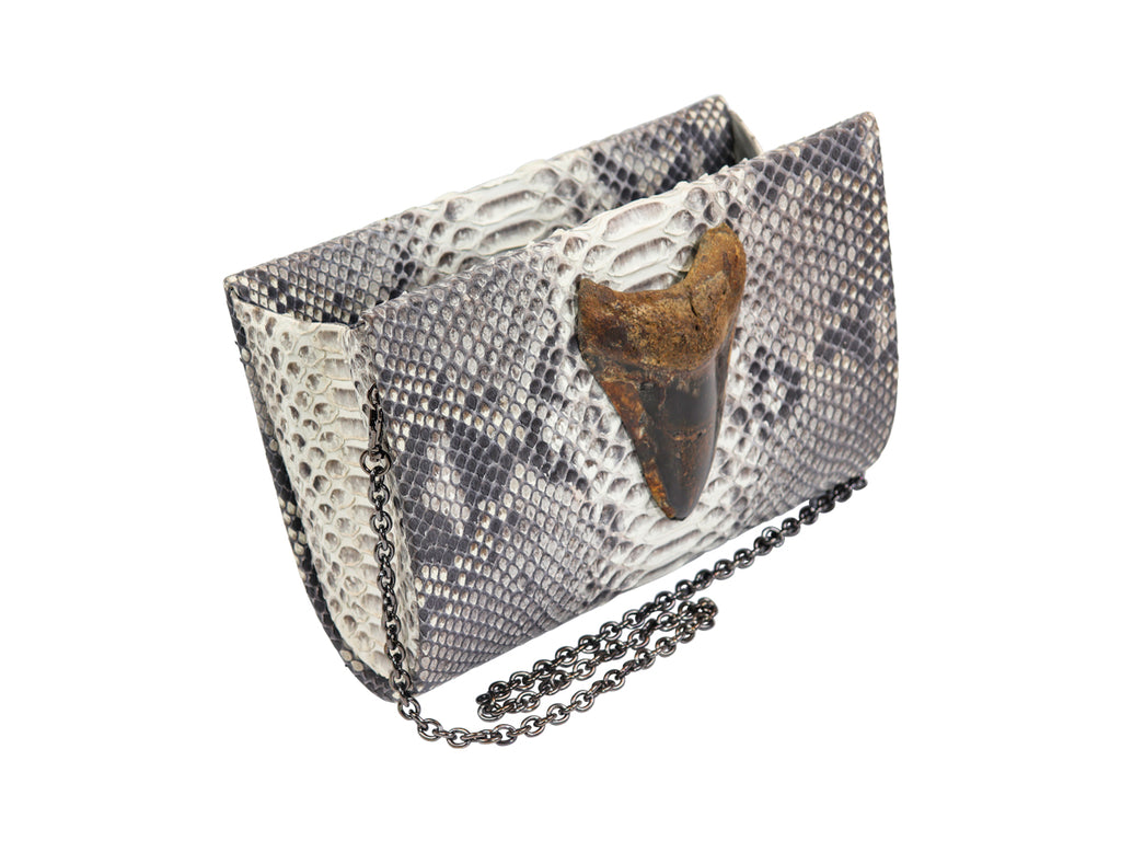 Empire Python & Megalodon Tooth Fossil Folio